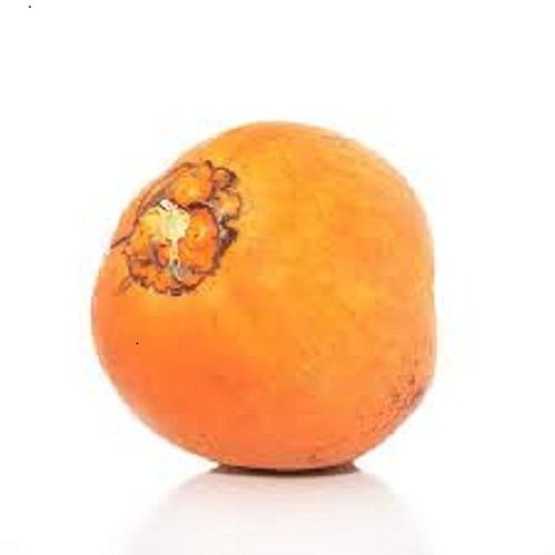 Healthy A Grade Naturally Grown 100% Pure Farm Fresh Orange Coconut 
