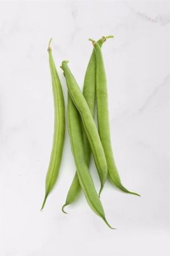 High Fibre Low Calorie Gluten Free Steamed Fresh Green Beans Crop Year: 50-60 Days