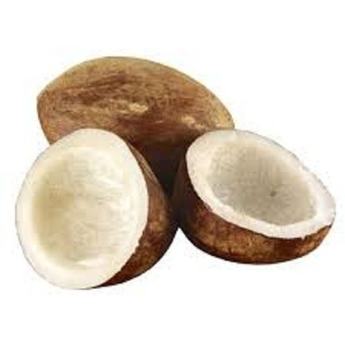 Rich Source Of Dietary Fiber And Vitamin E Healthy Fresh Dried Coconut