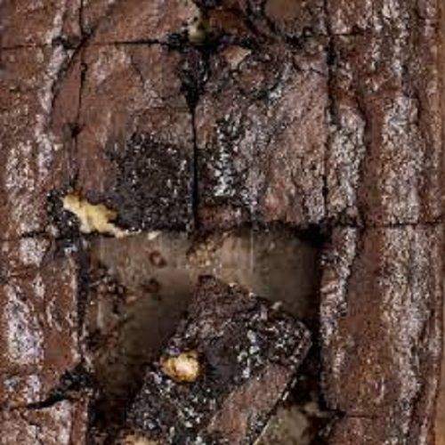 Delicious Sweet Tasty Gluten-free Hygienically Prepared Chocolate Fresh Brownies