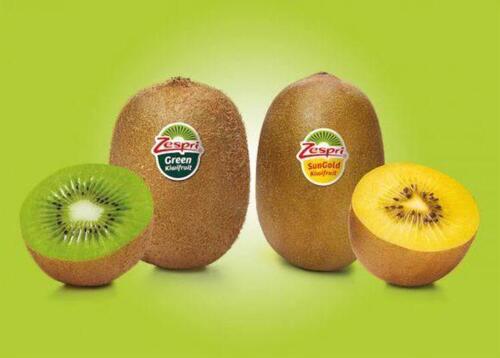 Brown Premium Grade Easy To Digest Delicious Taste Healthy Kiwi