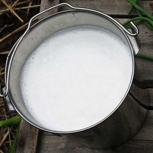 Liquid Foam 100% Pure Natural White Organic Cow Milk  Fat Content (%): 4.7% Percentage ( % )