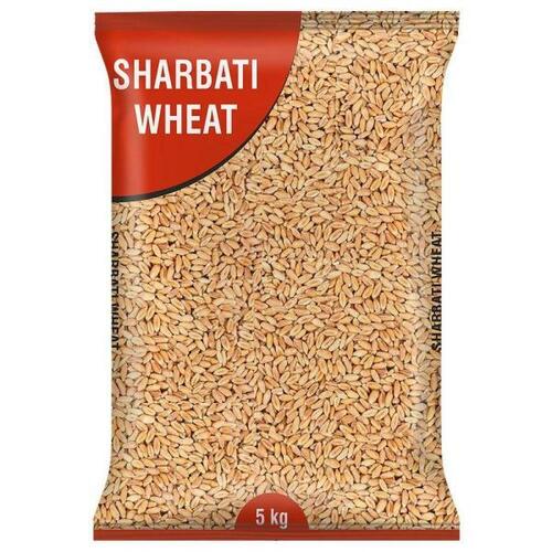 100 Percent Natural And Pure Impurity Free Sharbati Wheat