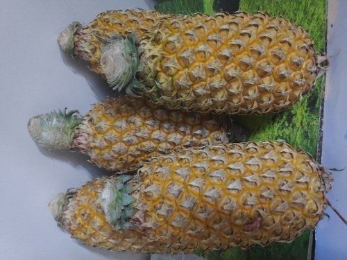 100 % Pure And Natural Pineapple Fruit