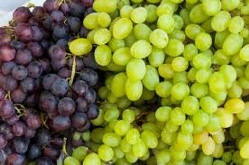 100% Pure Sweet Fresh Green Grapes With High Protein And Fiber