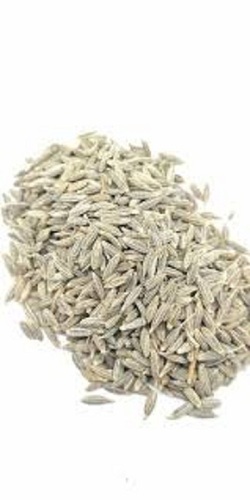 हरा स्वस्थ विटामिन और खनिज समृद्ध खुशबूदार और स्वादिष्ट जीरा