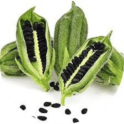 जैविक स्वस्थ विटामिन और खनिज से भरपूर सुगंधित और स्वादिष्ट ताजा काला जीरा