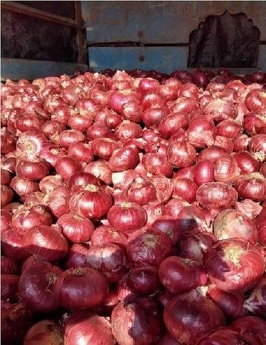 100 Percent Organic And Fresh A Grade Maharashtra Red Onion For Cooking