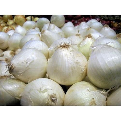 100 Percent Organic And Natural White Fresh Onion For Cooking
