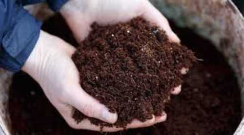 Biotech Grade Powder Form Organic Fertilizer For Agriculture Use