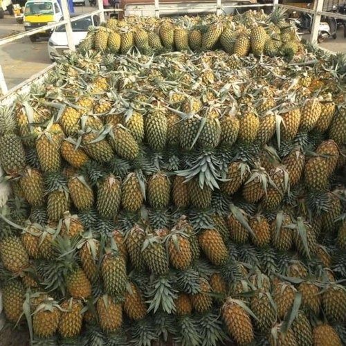 Sweet And Sour Taste Open Air Cultivated Food Grade Fresh Pineapple Fruits