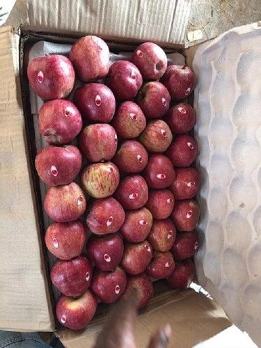 Sweet And Taste A Grade Fresh Open Air Cultivated Red Round Apples