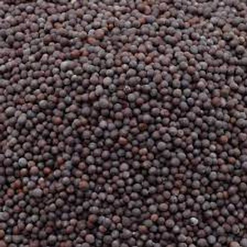 Black Mustard Seeds