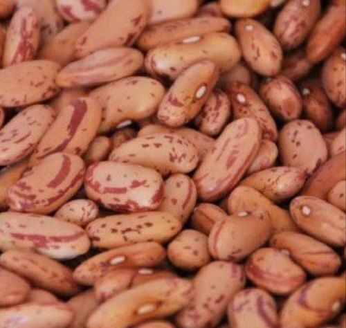 Fresh Hygienically Processed Protein Enriched Tasty Kidney Beans Rajma