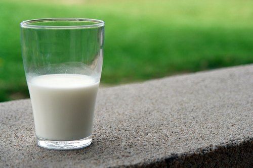 Healthy Rich In Vitamin Potassium And Calcium Fresh Pure White Cow Milk