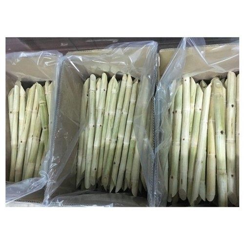 100% Natural And Pure Sweet Juicy Fresh Peeled Sugarcane For Multiple Use