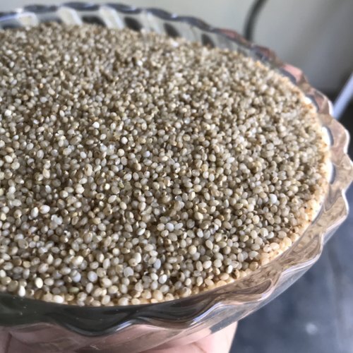 100% Pure Green Little Millet