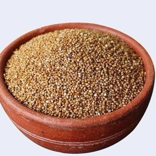 Healthy 100% Pure Commonly Cultivated Brown Millet 