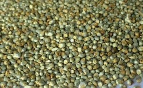 Natural Dried Commonly Cultivated 100% Pure Green Millet 