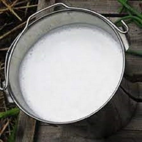 Natural Good Source Of Vitamin And Calcium Enriched Pure Fresh White Cow Milk  Fat Content (%): 2 Grams (G)