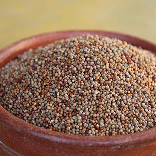 Natural Healthy 100% Pure Dried Brown Pearl Millet