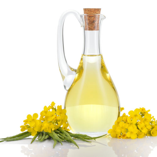 Nutritious Beneficial Low-Absorption Highest Quality Vegetable Canola Oil 