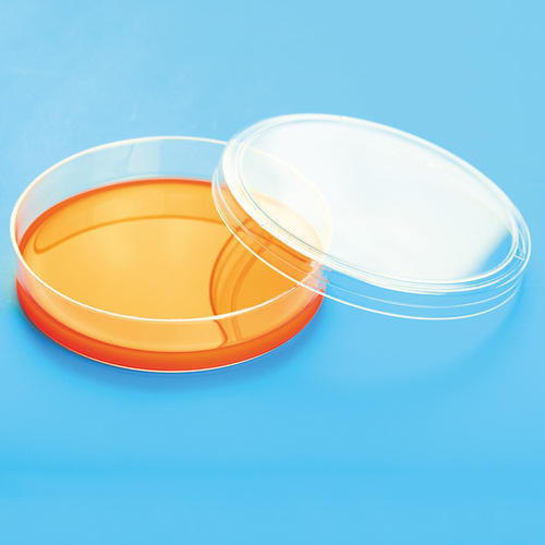 Premium Grade Clear And Transparent 100% Secure Durable Shallow Petri Dish 