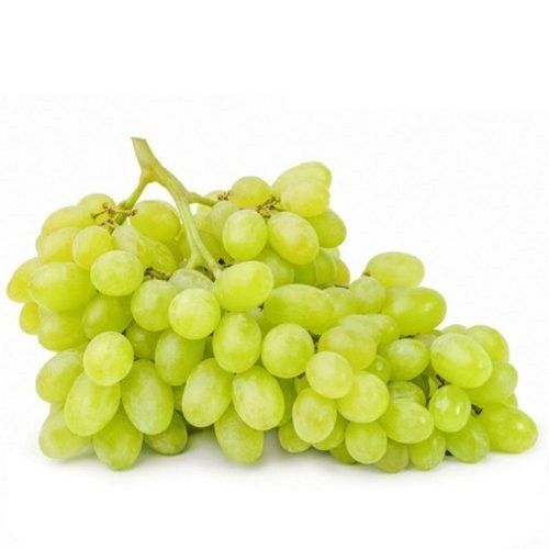 Round Shaped Commomnly Cultivated Sweet In Taste Green Grapes