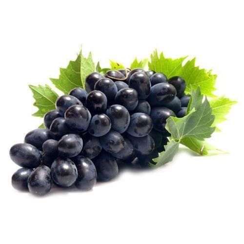 Round Shaped Commonly Cultivated Sweet In Taste Black Grapes