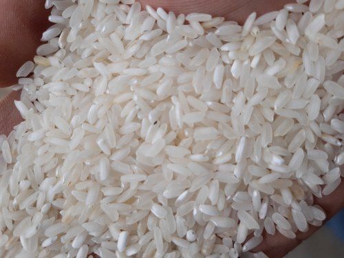  100% शुद्ध अत्यधिक पौष्टिक रसायन मुक्त स्वस्थ सफेद शॉर्ट ग्रेन कच्चा चावल 