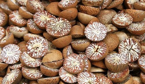 Dried Fresh Natural Improve Energy Levels Brown Vegan Sweet Solid Half Betel Nuts 