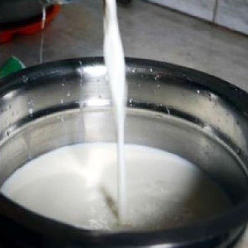  स्वस्थ ताजा और प्राकृतिक प्रोटीन से भरपूर पोटेशियम कैल्शियम सफेद गाय का दूध