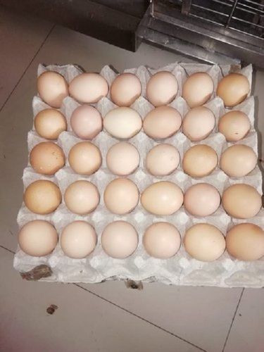 Rich In Proteins Vitamins Lightweight No Additional Preservatives Brown Eggs 