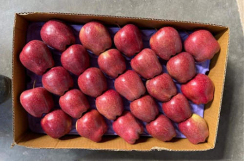 100% Fresh Red Juicy Sweet Open Air Cultivated Natural Size Himachal Apple Origin: India