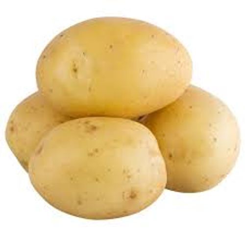 100% Natural Raw Processed Contains 78.17% Moisture Oval Shaped Fresh Potato