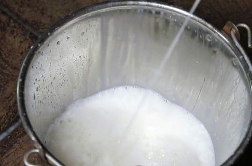 100% Pure And Natural Calories 48 Gram Fresh Buffalo Milk With Original Taste