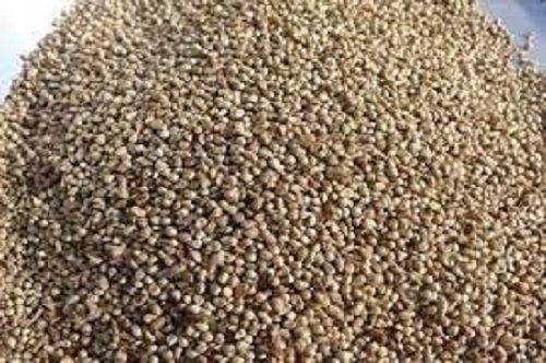 100% Pure And Natural Dried Brown Spilted Food Grade Bajra Seed For Making Food Use