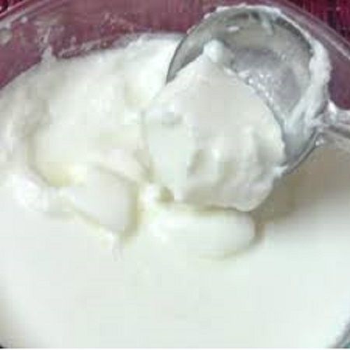 Fresh Natural Delicious Rich Source Of Calcium And Proteins White Curd