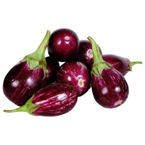 Natural Raw Processed Round Shaped Contains 64% Of Moisture Fresh Brinjal 
