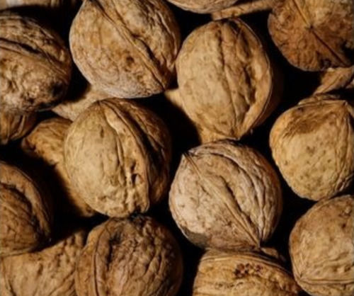 Organic Cultivated Kashmiri Kagzi Walnut Rich Source Of Vitamin E, A And K Broken (%): No