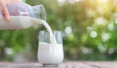 1 Litre 100 % Pure White Raw Low Fat Milk For All Age Group Age Group: Old-Aged