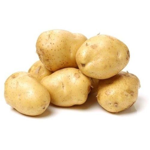 1 Kilogram Packaging Size Natural And Fresh Potato, For Cooking 