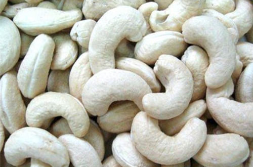 100% Natural And Common Cultivation Raw Processing Lwp White Cashew Nuts