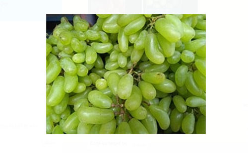 500 Grams , Common Cultivation Sweet Whole Green Grapes 