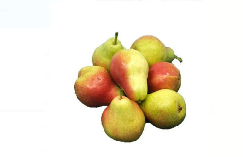 500 Grams Common Cultivation Whole Sweet Red And Yellow Fresh Pears