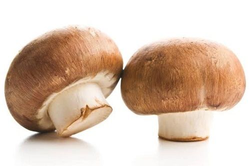 Low Calories Healthy Natural And Nutritious Easy To Digest Button Mushroom