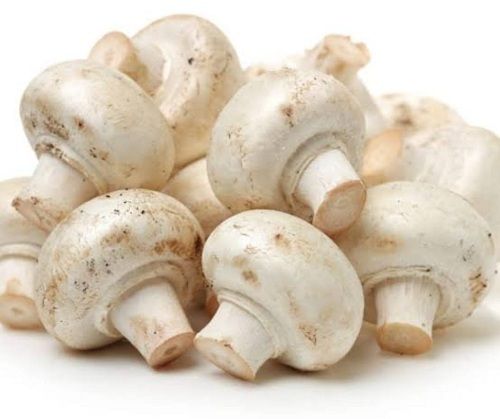 Natural Rich In Proteins Vitamins No Added Preservatives White Button Mushroom