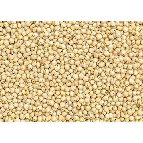 Gluten Free Fiber Healthy And Digestive Extremely Versatile Sorghum Seeds  Ash %: 2%