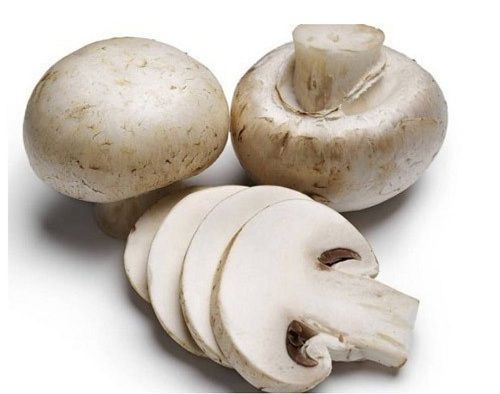 Rich In Proteins Easy To Digest Healthy And Natural White Button Mushroom 