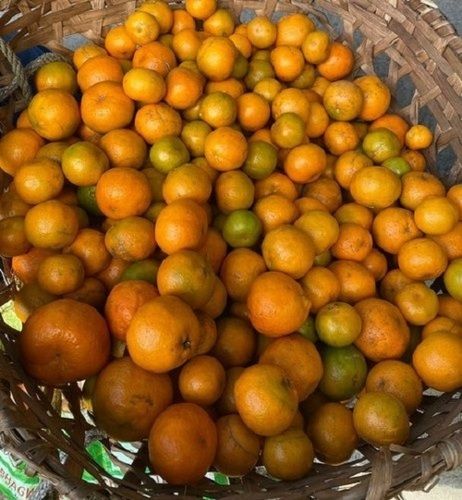  1 किलोग्राम पैकेजिंग साइज प्राकृतिक और ताजा नारंगी फल